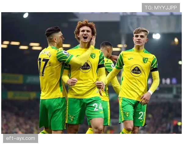 诺维奇金丝雀昵称由来及球队标识文化解析